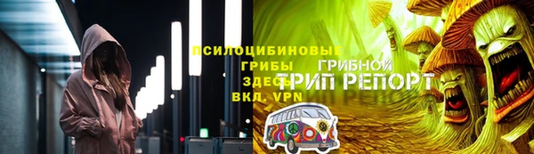 ГАЛЛЮЦИНОГЕННЫЕ ГРИБЫ Алексеевка