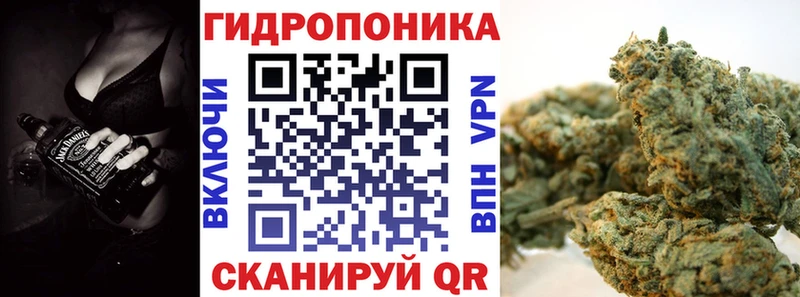 Каннабис OG Kush  Удачный 